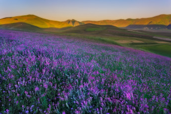 Картинка природа луга простор