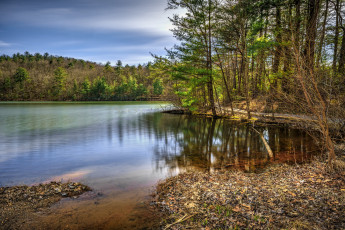 Картинка природа реки озера простор