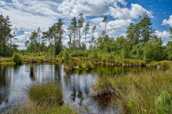 Картинка природа реки озера простор