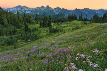 Картинка природа пейзажи простор