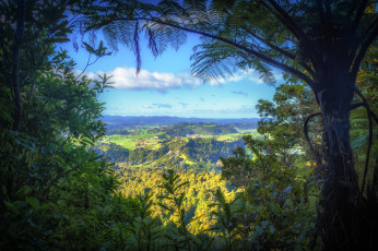 Картинка природа пейзажи простор