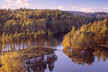 Картинка природа реки озера простор