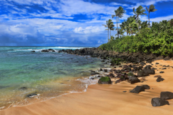 Картинка природа тропики простор