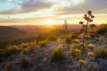 Картинка природа восходы закаты простор