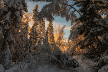 Картинка природа зима простор