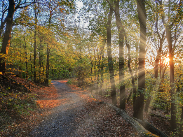 Обои картинки фото природа, дороги, простор