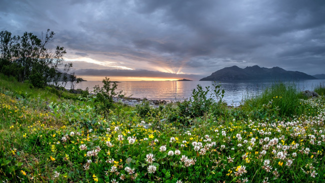 Обои картинки фото природа, луга, простор