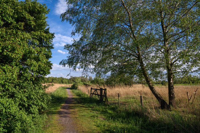 Обои картинки фото природа, дороги, простор