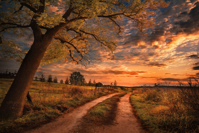 Обои картинки фото природа, дороги, простор