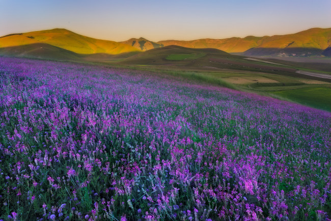 Обои картинки фото природа, луга, простор