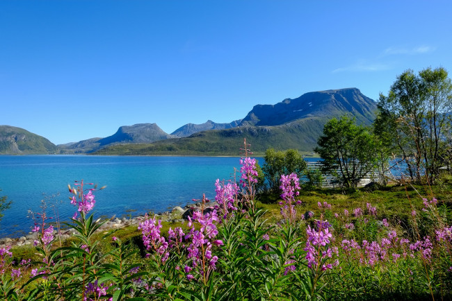 Обои картинки фото природа, побережье, простор