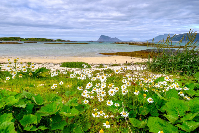 Обои картинки фото природа, реки, озера, простор