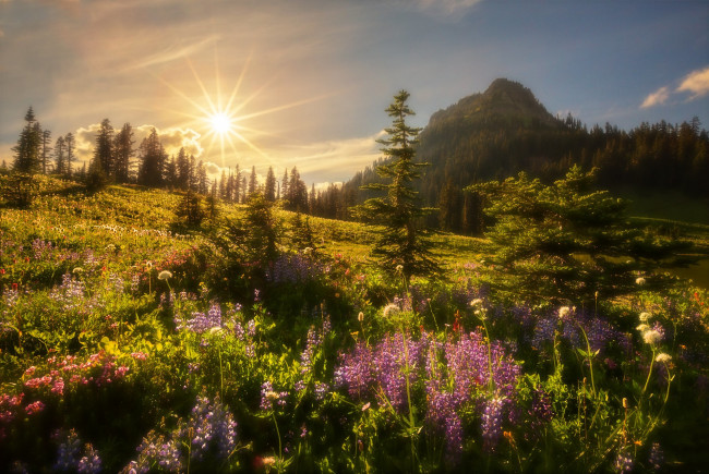 Обои картинки фото природа, восходы, закаты, простор