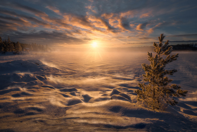 Обои картинки фото природа, зима, простор