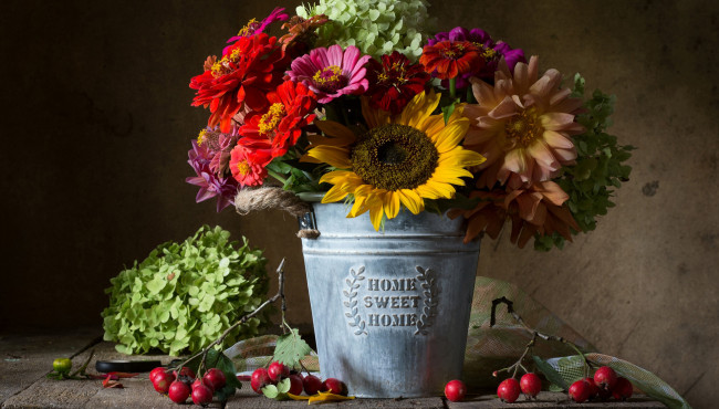 Обои картинки фото цветы, букеты,  композиции, цинния, подсолнух