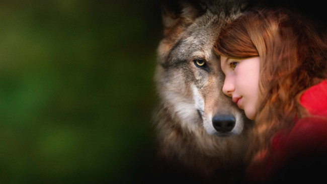 Обои картинки фото mystere || 2022, кино фильмы, mystere, мой, волк, семейный, shanna, keil, виктория