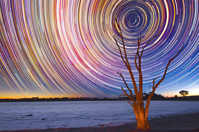 Обои картинки фото природа, побережье, дерево