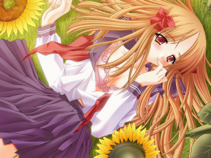 Картинка аниме yami to boshi hon no tabibito