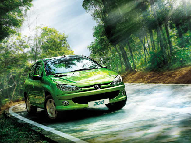 Обои картинки фото peugeot, 206, chines, version, автомобили