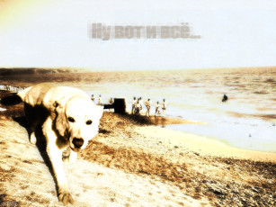 Картинка разное