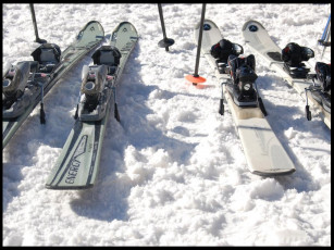 Картинка спорт лыжный