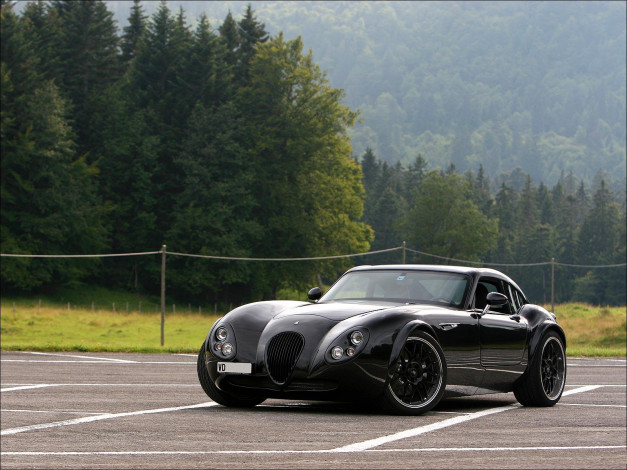 Обои картинки фото wiesmann, gt, автомобили