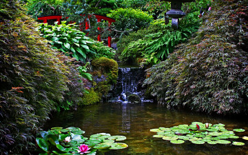 Картинка природа парк