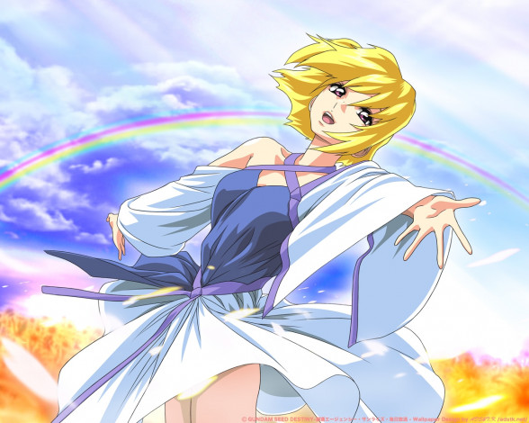 Обои картинки фото аниме, gundam, seed