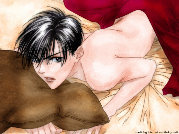 Обои картинки фото hanazakari, no, kimitachi, аниме, hanakimi