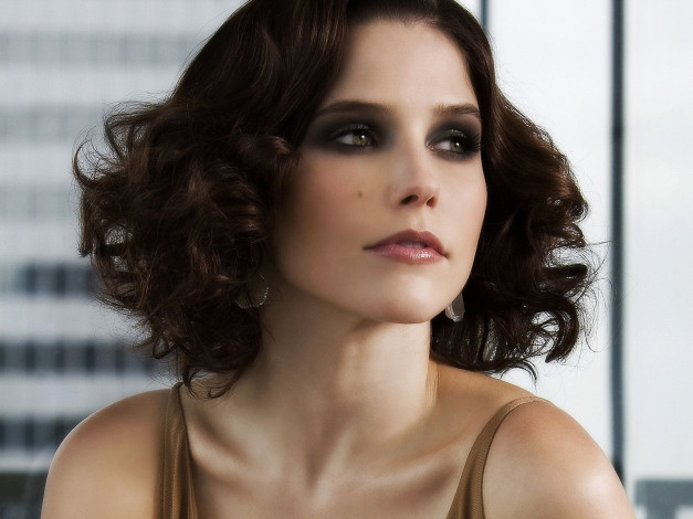 Обои картинки фото Sophia Bush, девушки