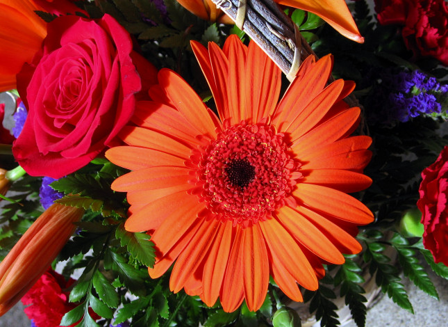 Обои картинки фото цветы, разные, вместе, лилии, роза, гербера