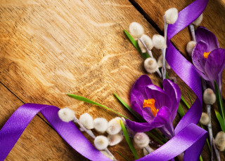 Картинка цветы крокусы лента верба