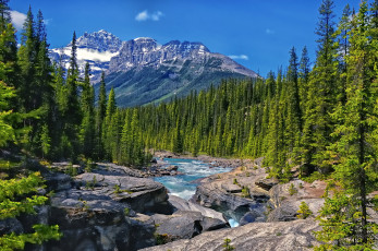 Картинка mistaya river alberta canada природа реки озера лес горы пейзаж река канада скалы деревья альберта