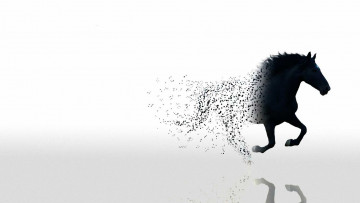 Картинка исчезающая лошадь разное компьютерный дизайн отражение точки