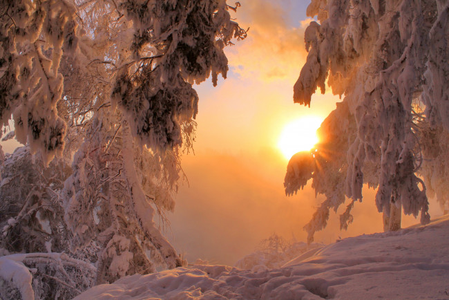 Обои картинки фото природа, зима, снег, солнце