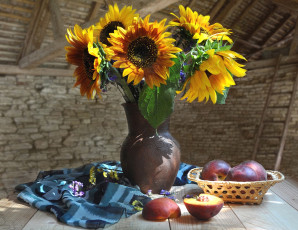 Картинка еда персики +сливы +абрикосы подсолнухи нектарины