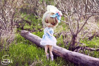 Картинка разное игрушки кукла