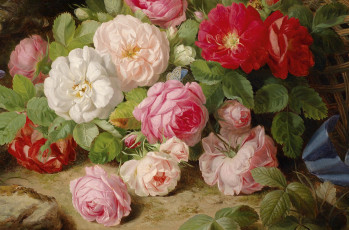 Картинка рисованные цветы фрагмент картины бабочка розы