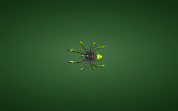 Картинка паук рисованные минимализм spider зеленый