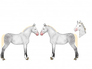 Картинка рисованное животные +лошади фон лошади