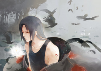Картинка аниме naruto art itachi uchiha вороны лотос цветок