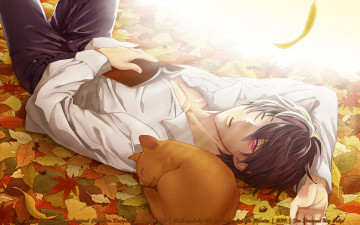 Картинка psychic+detective+yakumo аниме shinrei+tantei+yakumo листья кот парень глаз школьник рубашка осень