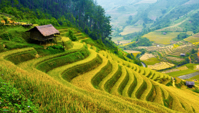 Обои картинки фото природа, поля, домик, пейзаж