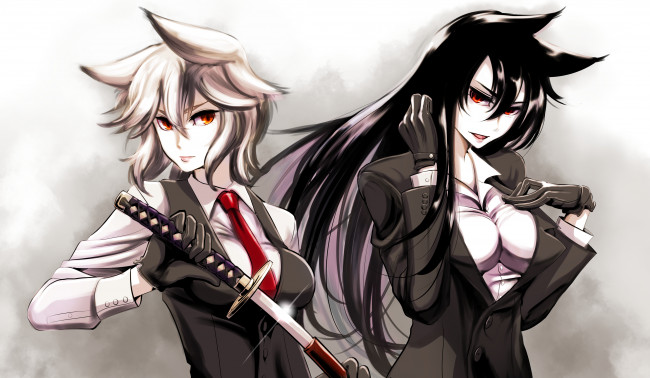 Обои картинки фото аниме, touhou, imaizumi, kagerou, inubashiri, momiji, kouji, oota, арт, девушки, оружие, меч, ушки