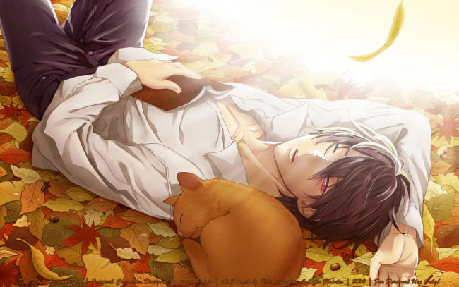 Обои картинки фото psychic detective yakumo, аниме, shinrei tantei yakumo, листья, кот, парень, глаз, школьник, рубашка, осень