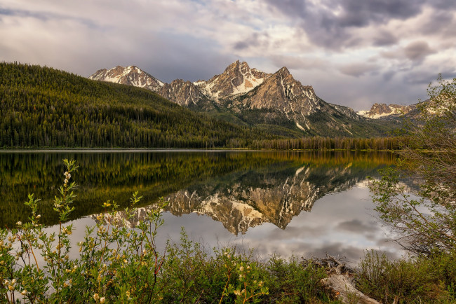 Обои картинки фото природа, реки, озера, горы, лес, река, отражение