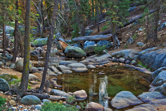 Обои картинки фото природа, реки, озера, лес, ручей