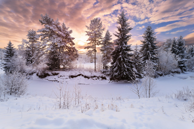 Обои картинки фото природа, зима, лес, снег