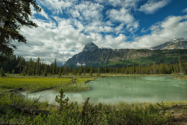 Обои картинки фото природа, реки, озера, горы, лес, река, облака