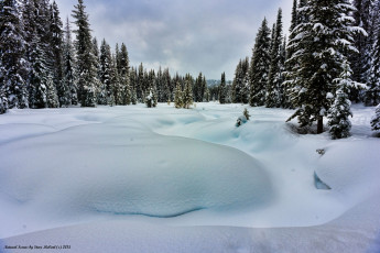 Картинка природа зима снег деревья холод лес
